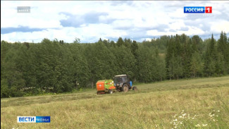 В Коми стартовали новые проекты по линии "Агростартапа"