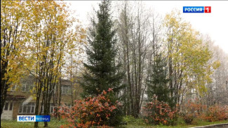 Ноябрь в Коми начнётся со снега