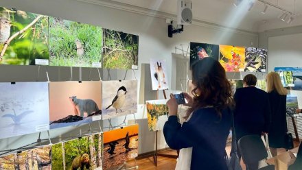 В Сыктывкаре торжественно открылась фотовыставка и награждены победители XII Межрегионального конкурса «Фотоохота на заповедных территориях»