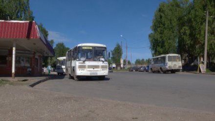 В Сыктывкаре пенсионеры смогут бесплатно ездить в автобусах