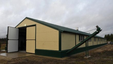  Успешной деятельности в сфере молочного животноводства супругам Паршуковым помог грант на развитие семейной фермы