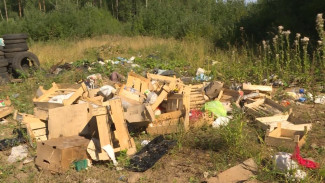 Как в Коми борются с несанкционированными свалками