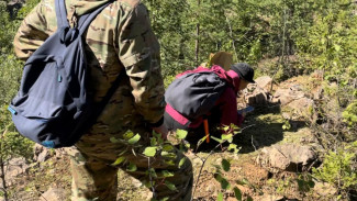 Сотрудники Центра по ООПТ совместно с научными сотрудниками Института биологии провели мониторинг редких видов в Усть-Куломском районе