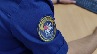 В Удорском районе руководитель лесоперерабатывающего предприятия подозревается в совершении налогового преступления