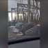Дачные вопросы, мусор на улицах, вырубленные деревья: что жители Коми обсуждают в соцсетях