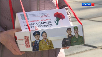 Житель Коми может поддержать ветеранов боевых действий, приняв участие во всероссийской акции "Красная гвоздика"