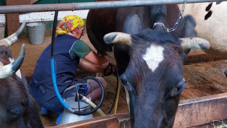  В 2025 году в Коми благодаря грантовой поддержке реализуются 8 проектов в сфере АПК