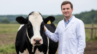 В Коми появилась служба ветеринарии