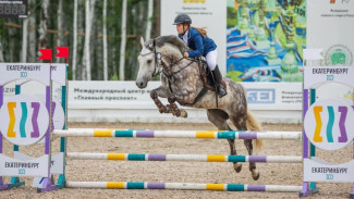 Спортсмены из Коми завоевали десять медалей на всероссийских соревнованиях по конному спорту в Екатеринбурге