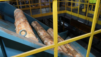 Предприниматели лесопромышленного комплекса Республики Коми могут воспользоваться мерами поддержки от региональных институтов развития