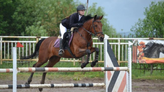 В Коми подвели итоги по чемпионату и первенству Республики Коми по конкуру