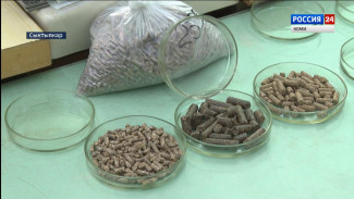 Специалисты Сыктывкарского филиала Росагрохимслужбы проводят исследование кормов этого сезона