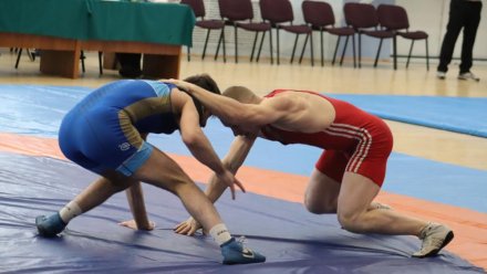 Более 40 спортсменов примут участие в первенстве СЗФО по вольной борьбе в Сыктывкаре