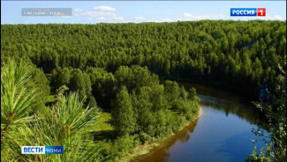 Рыбак-браконьер был задержан в заказнике Троицко-Печорского района.