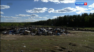 В Коми проводят работу по привлечению федеральных средств на ликвидацию несанкционированных свалок