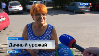 Опрос: Сыктывкарцы ответили, что они вырастили на дачах