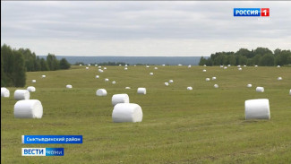 Как фермеры готовятся к заготовке сена и сенажа
