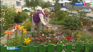 Сыктывкарка Наталия Щукина обустраивает клумбы в своем дворе