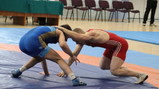 Более 40 спортсменов примут участие в первенстве СЗФО по вольной борьбе в Сыктывкаре