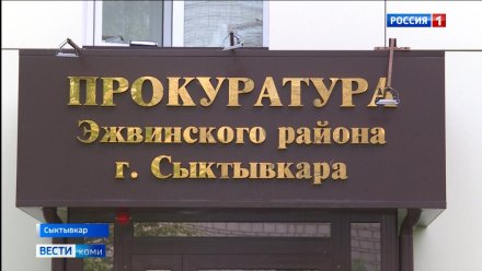 "Думал, что телефон": ухтинец осуждён за кражу из магазина терминала сбора данных