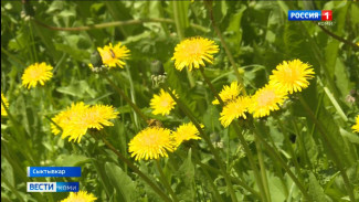 В Сыктывкаре побит многолетний температурный рекорд