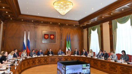 Ростислав Гольдштейн поручил обеспечить стабильный интернет во всех учреждениях соцзащиты Коми