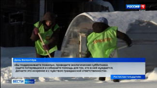 Ростислав Гольдштейн поздравил волонтеров Коми с Днем добровольца