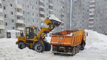 С начала зимнего сезона из Эжвы вывезено более 11 тысяч кубометров снега