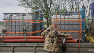 В реку Вычегда выпустили свыше 4000 штук молоди сига