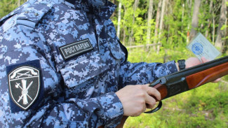За неделю в Коми изъято 9 единиц охотничьего оружия