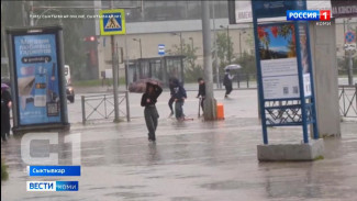 За последние двое суток Сыктывкар получил более месячной нормы осадков