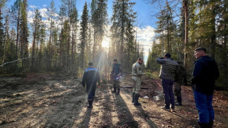 Роман Полшведкин проверил ход работ по ликвидации нефтезагрязнений в Ухтинском, Сосногорском и Троицко-Печорском районах