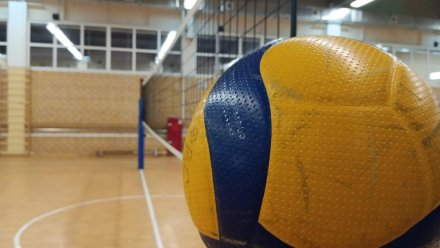 Более 20 команд соберутся на чемпионате Республики Коми по волейболу
