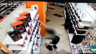 В Воркуте полицейские раскрыли серию краж, совершенных из магазина электроники