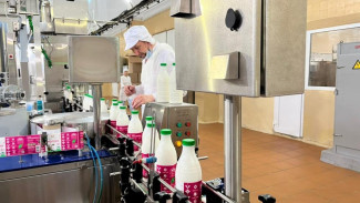 Сыктывкарский молочный завод увеличит мощности и начнет выпуск премиальной линейки продукции