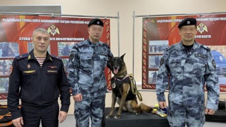 Впервые в Сыктывкаре минно-розыскную собаку наградили медалью Росгвардии