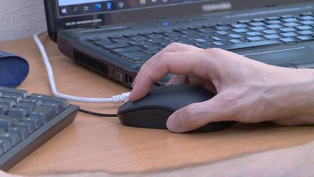 В Коми разработали уникальный психологический тест, который учит противостоять уловкам мошенников