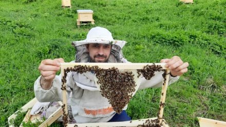 С 1 сентября начал действовать изменённый закон о пчеловодстве