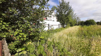 В Визинге долгий земельный спор соседей завершился за два часа