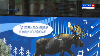 История на колёсах: по улицам столицы Коми курсируют необычные автобусы