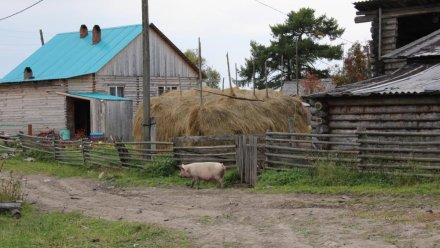 В Коми почти 450 труднодоступных, малочисленных или отдаленных населенных пунктов