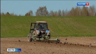  Темпы весенне-полевых работ в Коми остаются высокими