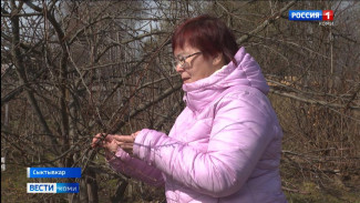 Учёные института агробиотехнологий Коми научного центра начали полевой сезон