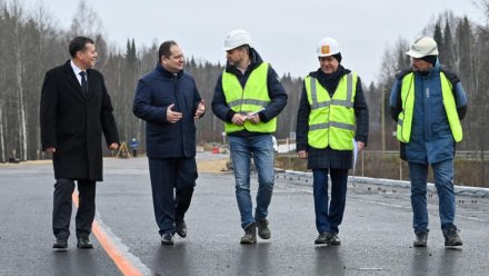 Ростислав Гольдштейн проинспектировал ход строительства моста через Лемью