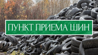 Минприроды Коми сообщает об успешной работе пункта приема отработанных шин в Сыктывкаре