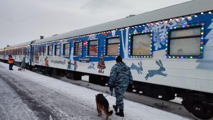 Сотрудники ОМОН «Арктика» обследовали прибывший в Воркуту  новогодний поезд