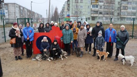 В Воркуте открыли площадки для выгула собак