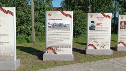 В Усть-Куломе открыли «Аллею памяти»