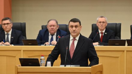 Депутаты Госсовета поддержали назначение нового председателя правительства Коми 