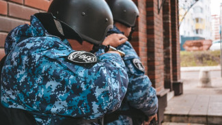 В Воркуте росгвардейцы задержали мужчину, который похитил около 60  плиток шоколада